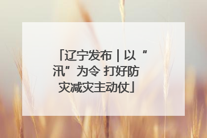 辽宁发布｜以“汛”为令 打好防灾减灾主动仗