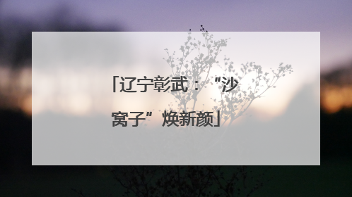 辽宁彰武：“沙窝子”焕新颜