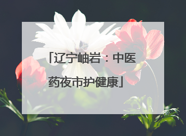 辽宁岫岩：中医药夜市护健康