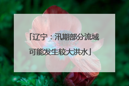 辽宁：汛期部分流域可能发生较大洪水