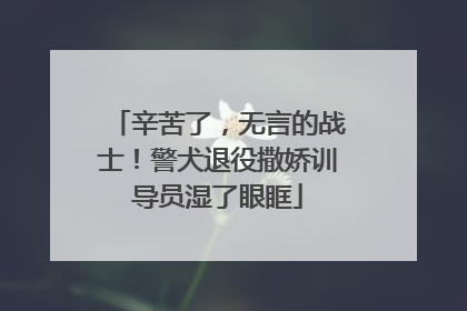 辛苦了，无言的战士！警犬退役撒娇训导员湿了眼眶