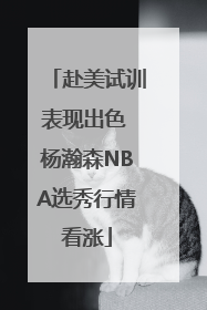 赴美试训表现出色 杨瀚森NBA选秀行情看涨
