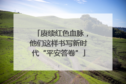 赓续红色血脉，他们这样书写新时代“平安答卷”