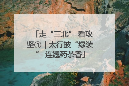 走“三北” 看攻坚①｜太行披“绿装” 连翘药茶香