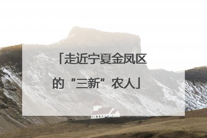 走近宁夏金凤区的“三新”农人