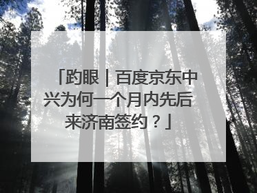 趵眼｜百度京东中兴为何一个月内先后来济南签约？