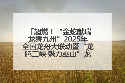 超燃！“金蛇献瑞 龙舞九州”2025年全国龙舟大联动暨“龙腾三峡·魅力巫山”龙舟邀请赛圆满落幕！