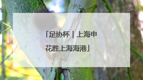 足协杯｜上海申花胜上海海港