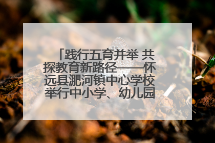践行五育并举 共探教育新路径——怀远县淝河镇中心学校举行中小学、幼儿园班主任论坛活动