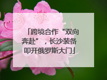 跨境合作“双向奔赴”，长沙装备叩开俄罗斯大门