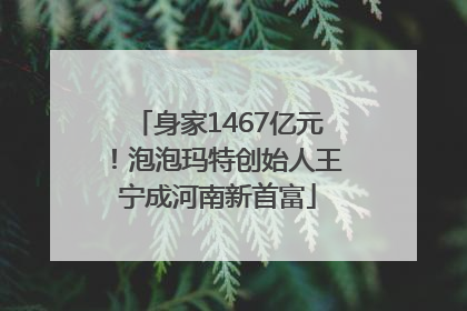 身家1467亿元！泡泡玛特创始人王宁成河南新首富