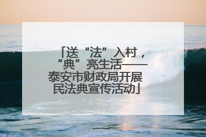 送“法”入村，“典”亮生活——泰安市财政局开展民法典宣传活动