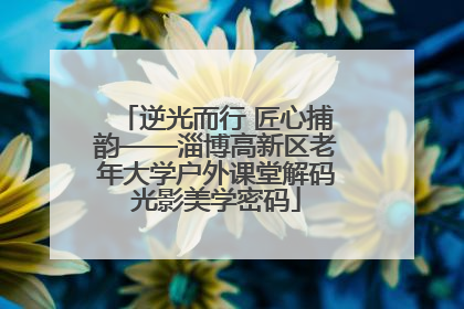 逆光而行 匠心捕韵——淄博高新区老年大学户外课堂解码光影美学密码