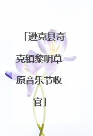 逊克县奇克镇黎明草原音乐节收官