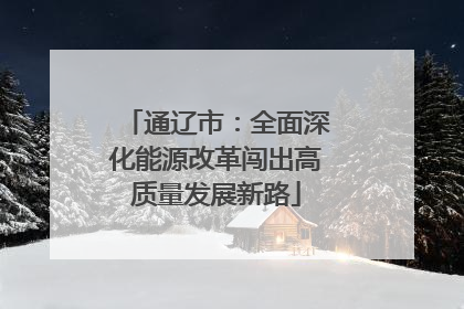 通辽市：全面深化能源改革闯出高质量发展新路
