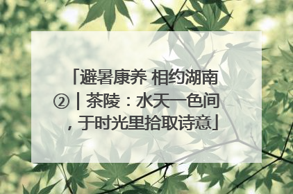 避暑康养 相约湖南②｜茶陵：水天一色间，于时光里拾取诗意