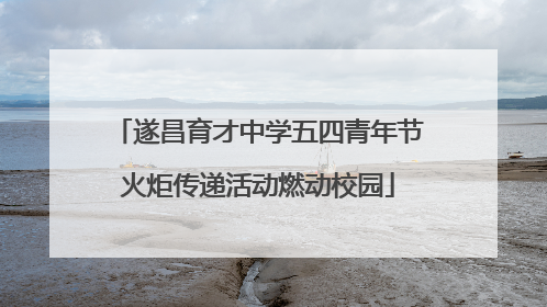 遂昌育才中学五四青年节火炬传递活动燃动校园