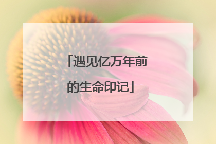 遇见亿万年前的生命印记