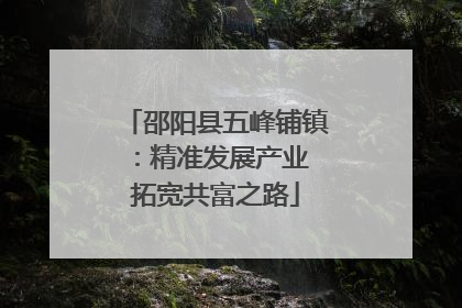 邵阳县五峰铺镇：精准发展产业 拓宽共富之路