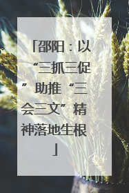 邵阳：以“三抓三促”助推“三会三文”精神落地生根