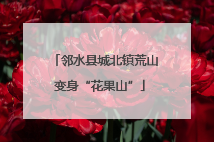 邻水县城北镇荒山变身“花果山”