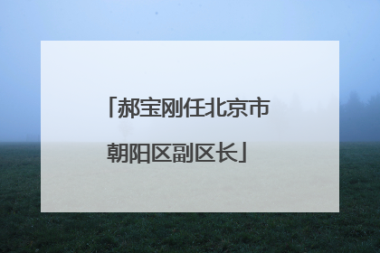 郝宝刚任北京市朝阳区副区长