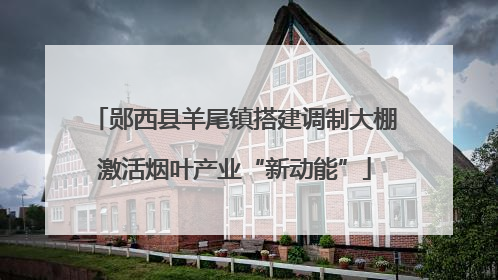 郧西县羊尾镇搭建调制大棚激活烟叶产业“新动能”