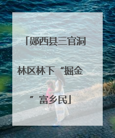 郧西县三官洞林区林下“掘金”富乡民