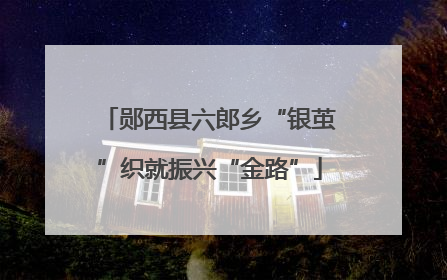 郧西县六郎乡“银茧”织就振兴“金路”