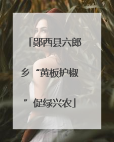 郧西县六郎乡“黄板护椒”促绿兴农