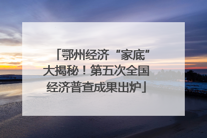 鄂州经济“家底”大揭秘！第五次全国经济普查成果出炉