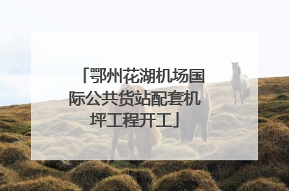 鄂州花湖机场国际公共货站配套机坪工程开工