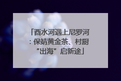 酉水河遇上尼罗河：保靖黄金茶、村厨“出海”启新途