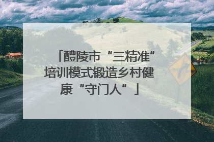 醴陵市“三精准”培训模式锻造乡村健康“守门人”