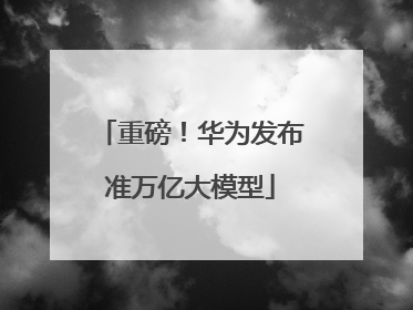 重磅！华为发布准万亿大模型