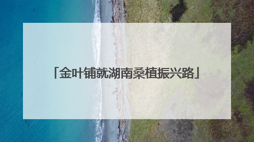 金叶铺就湖南桑植振兴路