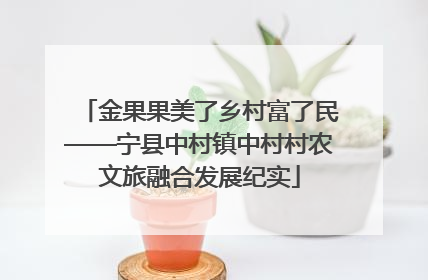 金果果美了乡村富了民——宁县中村镇中村村农文旅融合发展纪实