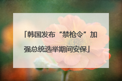 韩国发布“禁枪令”加强总统选举期间安保