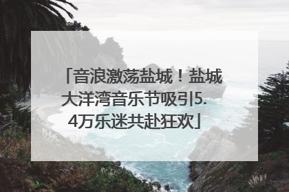 音浪激荡盐城！盐城大洋湾音乐节吸引5.4万乐迷共赴狂欢