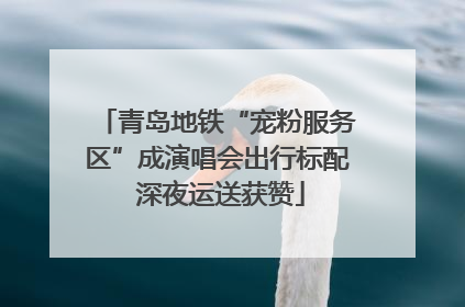 青岛地铁“宠粉服务区”成演唱会出行标配 深夜运送获赞