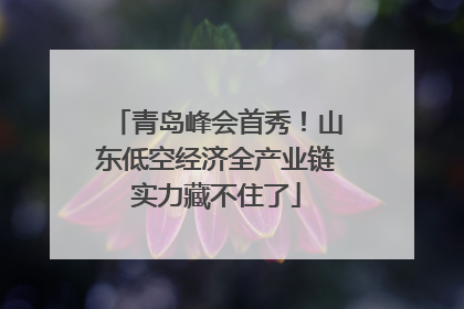 青岛峰会首秀！山东低空经济全产业链实力藏不住了