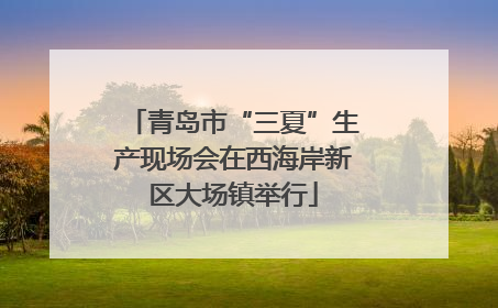 青岛市“三夏”生产现场会在西海岸新区大场镇举行