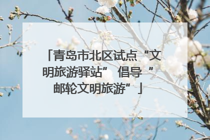青岛市北区试点“文明旅游驿站” 倡导“邮轮文明旅游”