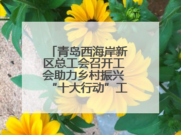 青岛西海岸新区总工会召开工会助力乡村振兴“十大行动”工作推进会议