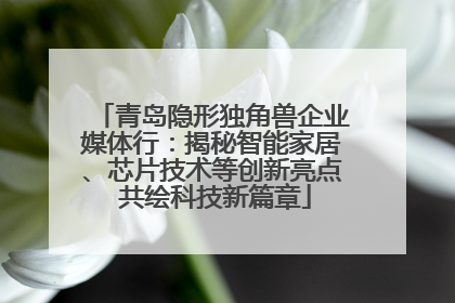 青岛隐形独角兽企业媒体行：揭秘智能家居、芯片技术等创新亮点 共绘科技新篇章