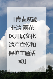 青春赋能非遗 雨花区开展文化遗产宣传和保护主题活动
