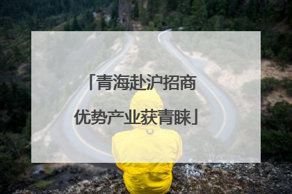 青海赴沪招商 优势产业获青睐