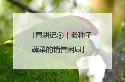 青耕记③｜老种子蔬菜的销售困局