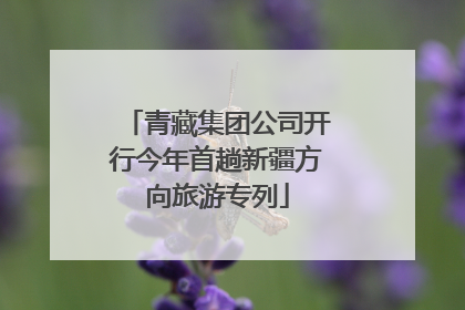 青藏集团公司开行今年首趟新疆方向旅游专列