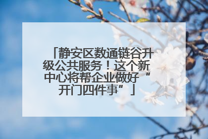 静安区数通链谷升级公共服务！这个新中心将帮企业做好“开门四件事”